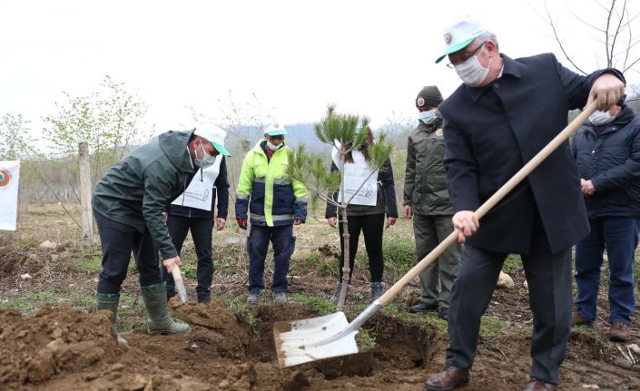 Fatsa’da 160 fidan toprakla buluştu