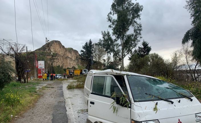 Fırtınada devrilen ağaçlar araçlara zarar verdi