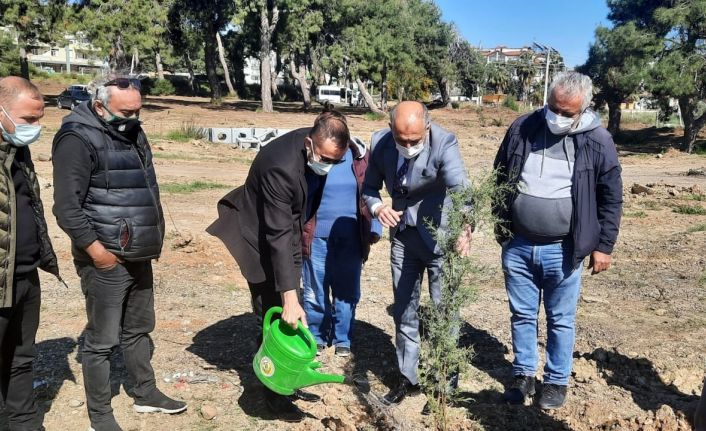 Gazeteciler 250 adet fidanı toprakla buluşturdu