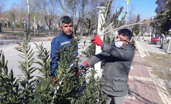 Gölbaşı ilçesinde ağaçlar budanıyor