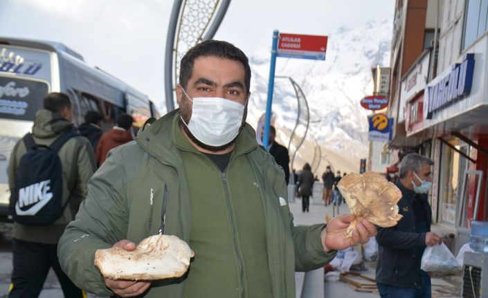 Hakkari’de yılın ilk mantarı piyasaya çıktı