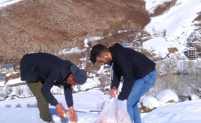 Harçlıklarıyla aldıkları ekmeği hayvanlar için doğaya bırakıyorlar