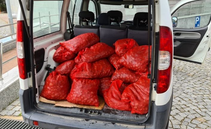 İzmir’de kaçak yollarla avlanan 400 kilogram midye denize bırakıldı