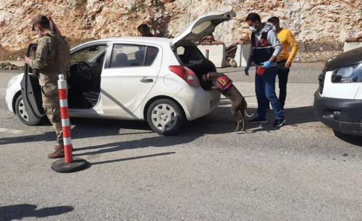 Jandarma ekiplerinden ‘Huzurlu sokaklar’ uygulaması