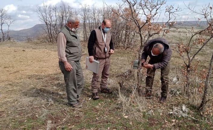 Kaçak ava karşı foto kapanlar kuruldu, kaçak meterisler yıkıldı