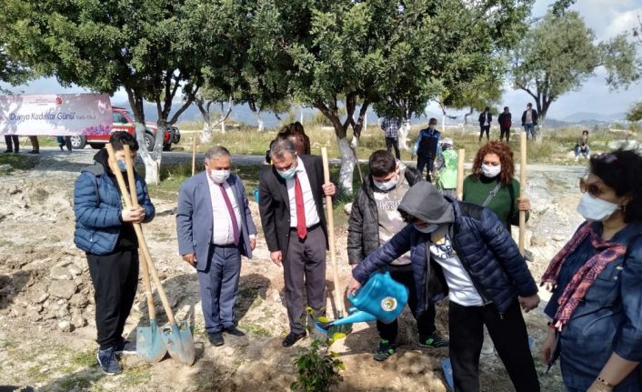 Kadınlar ’Çocuk Hatıra Ormanı’na fidan dikti