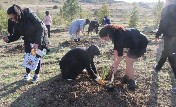 Kadınlar fidanları toprakla buluşturdu