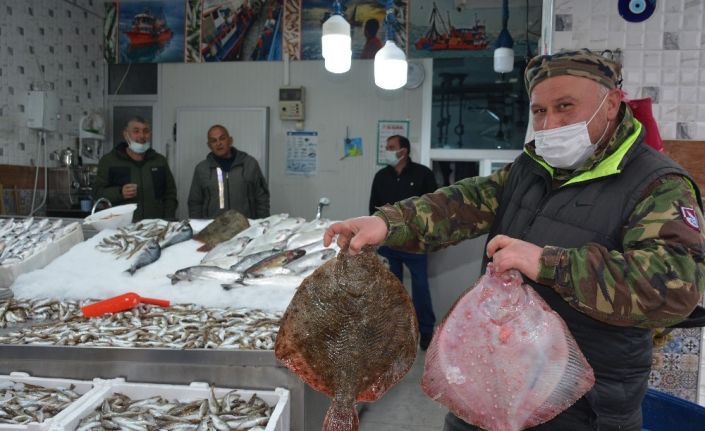 Kalkan balığı tadımlık oldu, fiyatı cep yakıyor