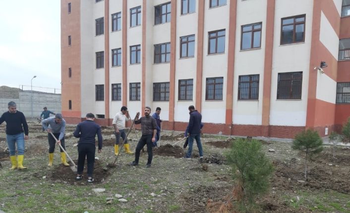 Kulp’ta İmam Hatip Lisesi bahçesine 150 adet dut fidanı dikildi