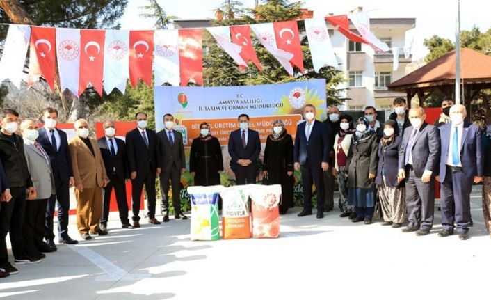 Kuraklığın etkili olduğu Amasya’da çiftçilere ayçiçeği tohumu desteği