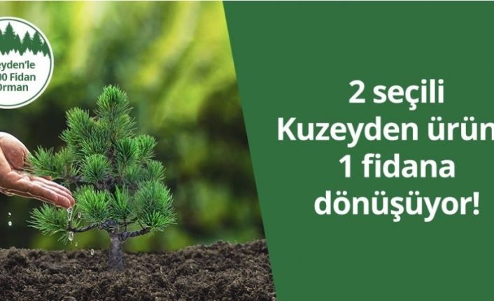 Kuzeyden 50 bin fidan ile 5 orman oluşturuyor