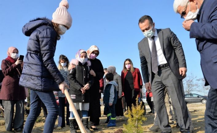 Mercan Hatıra Ormanı oluşturuldu