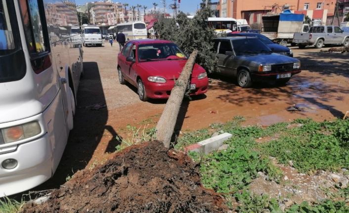 Mersin’de fırtına araç ve tarım arazilerine zarar verdi