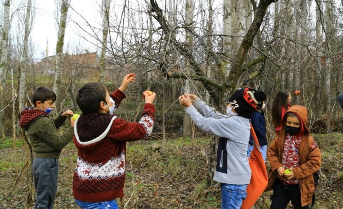 Minik öğrencilerin elmaları kuşlara hayat oluyor