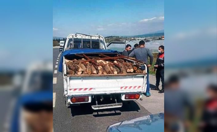 "Oğlun odun aldı" yalanıyla yaşlı kadını evinde gasp ettiler