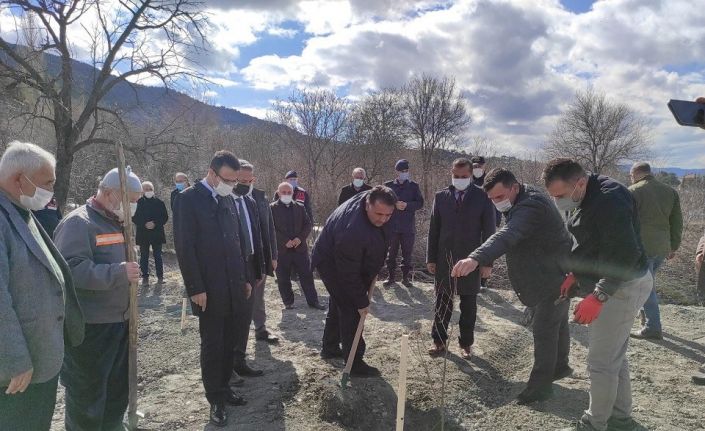 Osmancık’ta bin adet nar fidanı toprakla buluştu