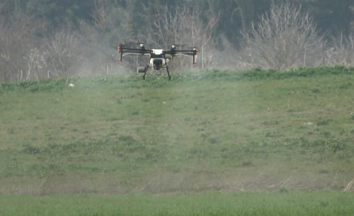 (Özel) Üniversitenin buğdayları drone ile ilaçlandı