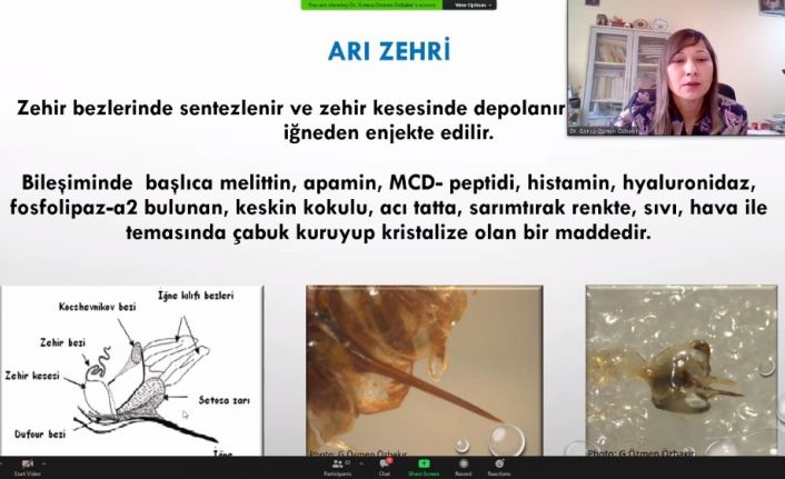 ‘Sağlık İçin Arı Zehri’ Projesi yürütülüyor