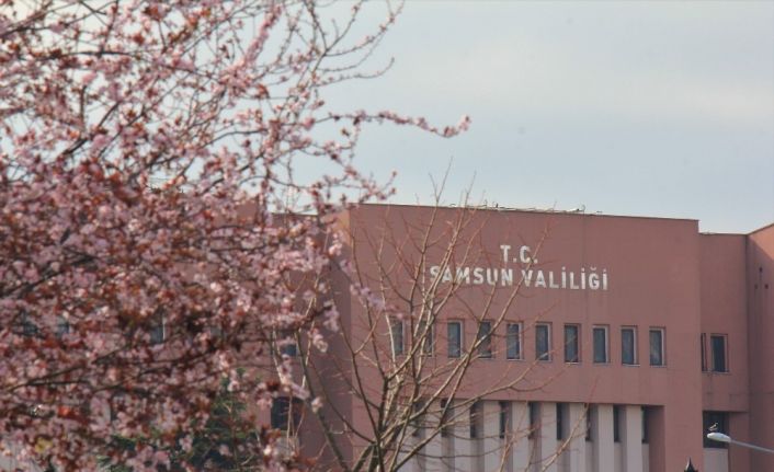 Samsun’da ilkbahar: Tabiat şenlendi