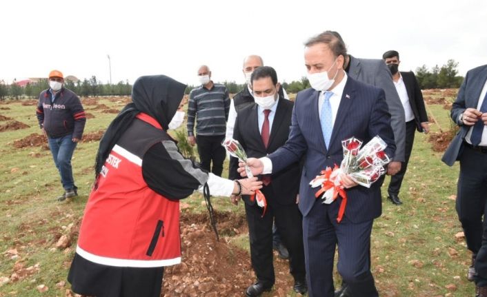 Şanlıurfa’da 8 Mart ağaçlandırma etkinliği