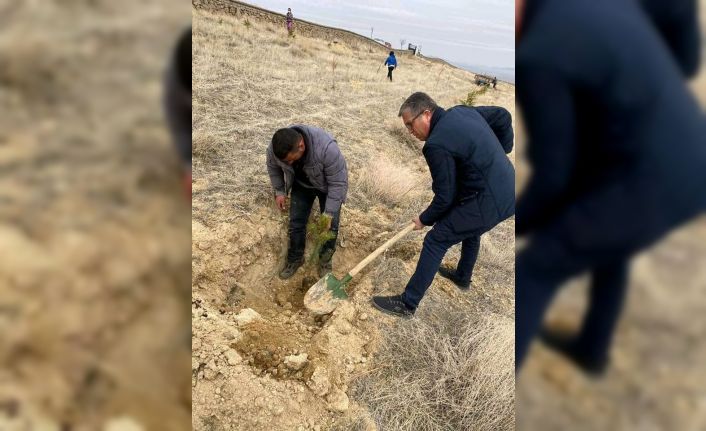 Saraycık Köyü’nde ağaç dikim etkinliği