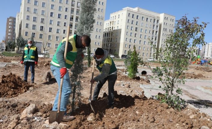 Seyrantepe yeni parklarla yeşilleniyor