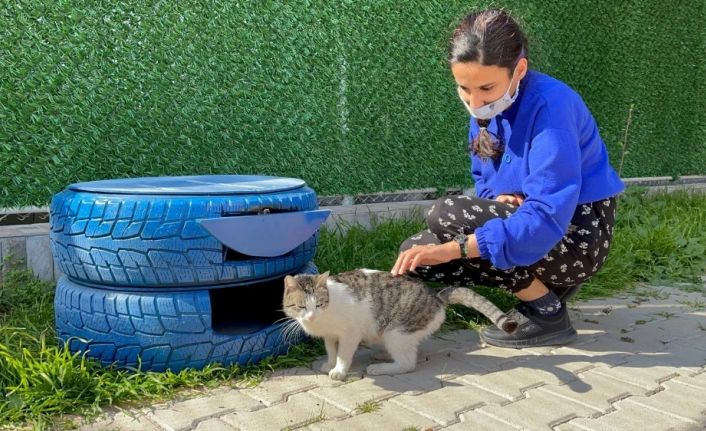 Sokak kedileri de açıkta kalmayacak