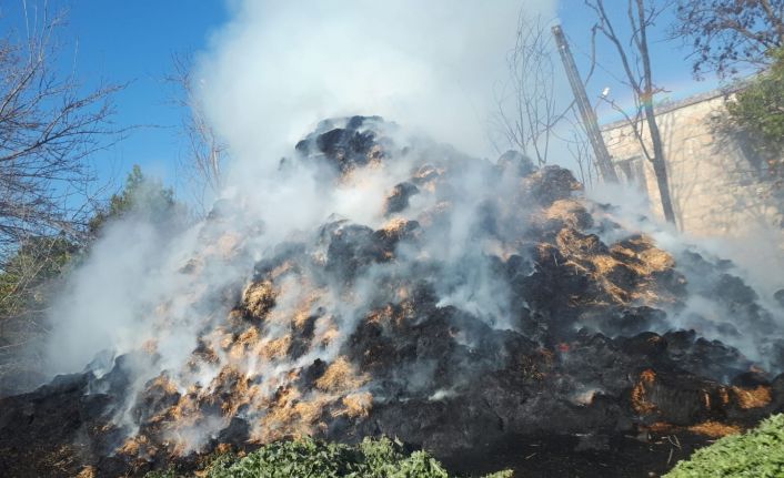 Tarsus’ta 30 ton saman kül oldu