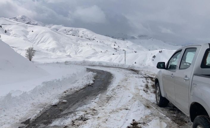 Tunceli’de kar nedeniyle kapanan 20 köy yolundan 17’si açıldı