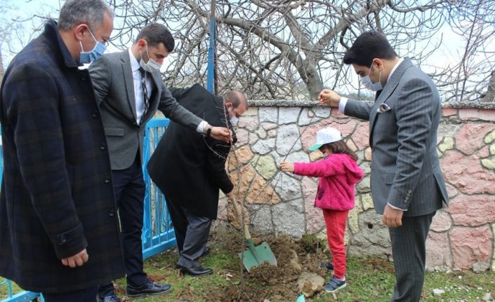 Türkeli’de Orman Haftası etkinlikleri