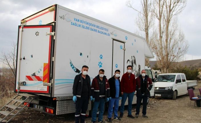 Van Büyükşehir Belediyesi sokak hayvanlarını kısırlaştırıyor