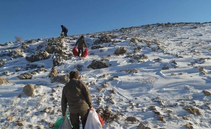 Yabani hayvanlar için Nemrut Dağına yem bırakıldı