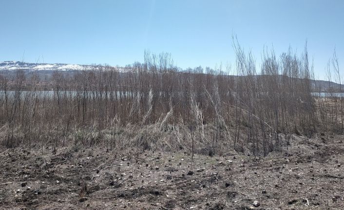 Yağmur ve şiddetli rüzgar sazlık alanda hasar bıraktı