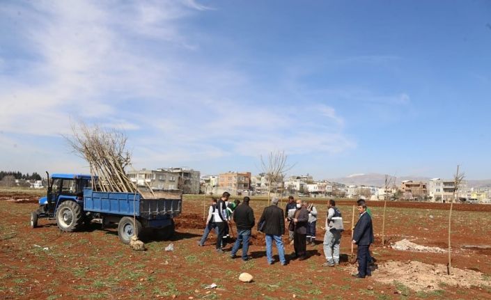 Yunus Emre mahallesine en büyük bahçe