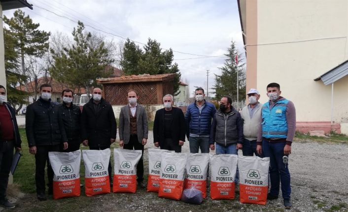 62 çiftçiye yağlık ayçiçeği tohumu’ dağıtıldı