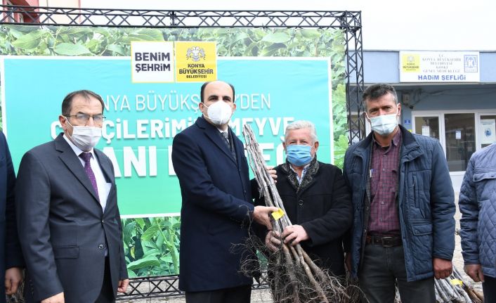 Başkan Altay, Hadimli çiftçilere sertifikalı ceviz fidanı dağıttı