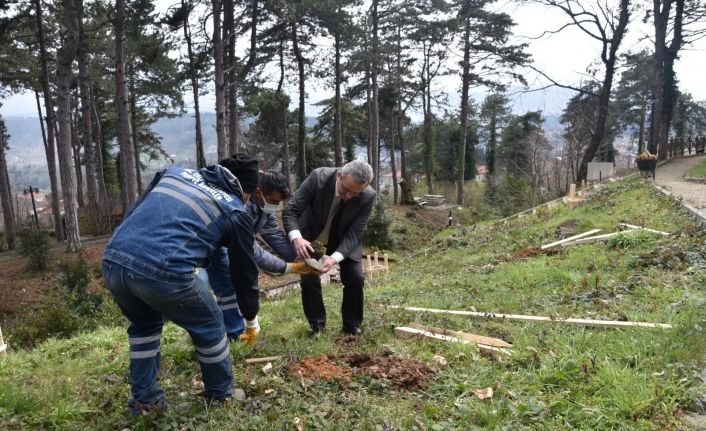 Belediye, Kestaneci’ye kestane fidanı dikti