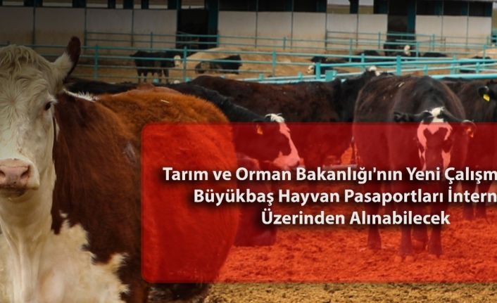 Besicilere dijital ortamda hayvan pasaportu alma fırsatı