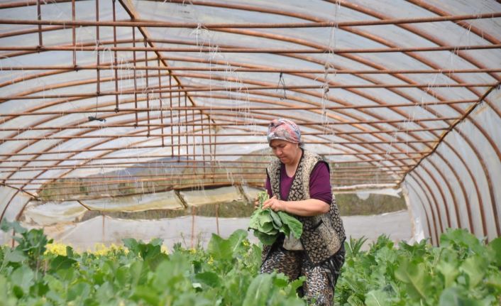 Beykoz’da  Adil Sözleşmeli Tarım Projesiyle üretilen ürünler ihtiyaç sahipleriyle buluşturulacak