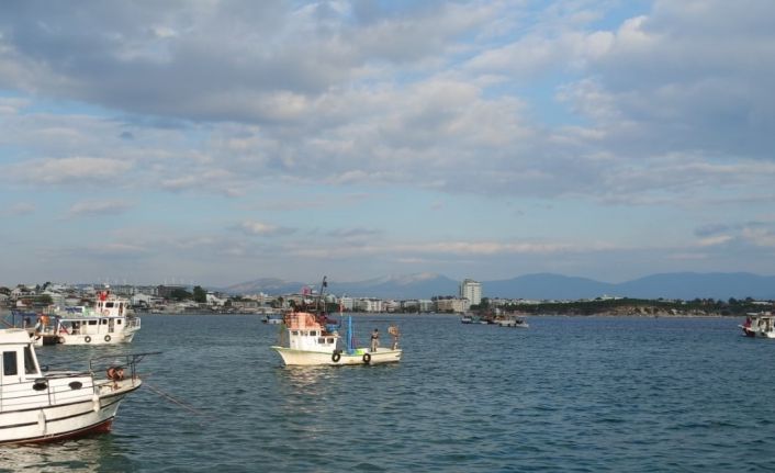 Didim’de deniz patlıcanı avcılığı sona erdi