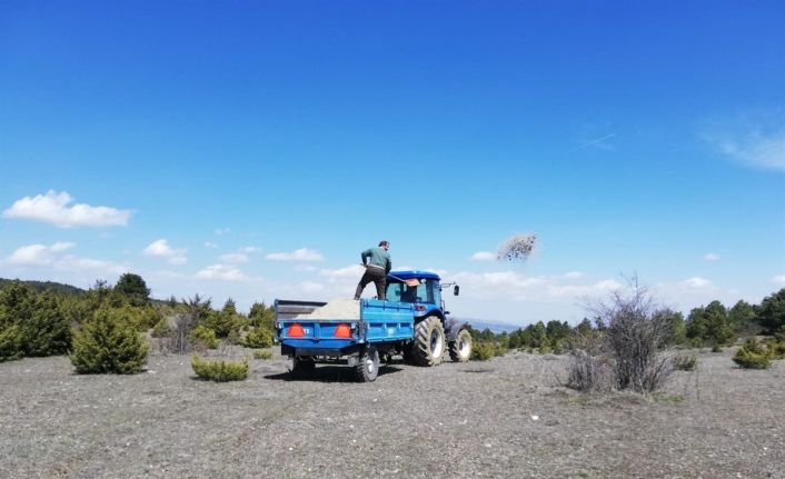 Dumlupınar’da meralar gübrelendi