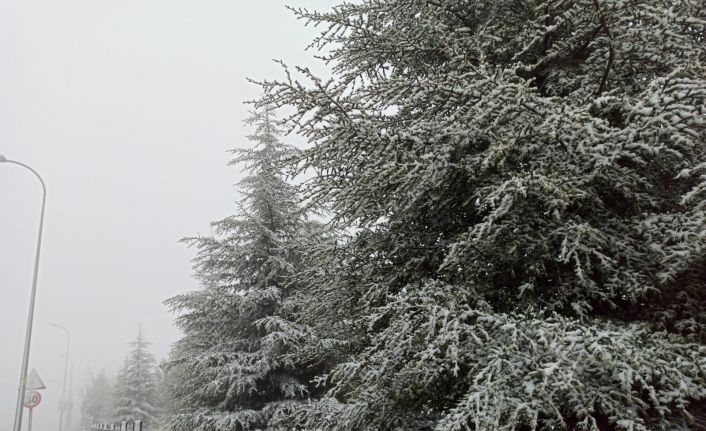 Eskişehir’de 1 Nisan şakası gibi kar yağışı