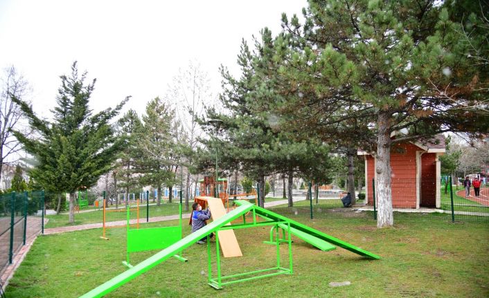 ’Gel Can Dostum bu park senin’