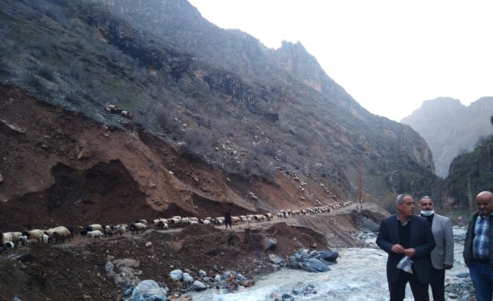 Hakkari’de sürülerin göçü başladı