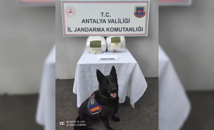 Jandarma yolcu valizinde 11 kilo esrar ele geçirdi