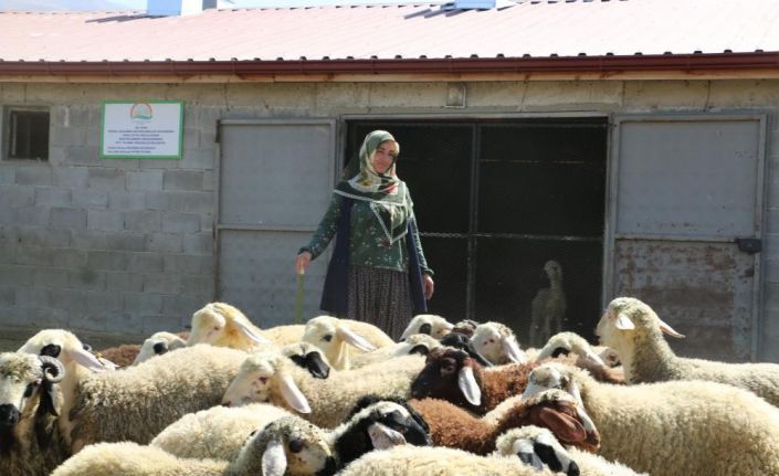 Köyde yaşamak isteyenlere proje desteği