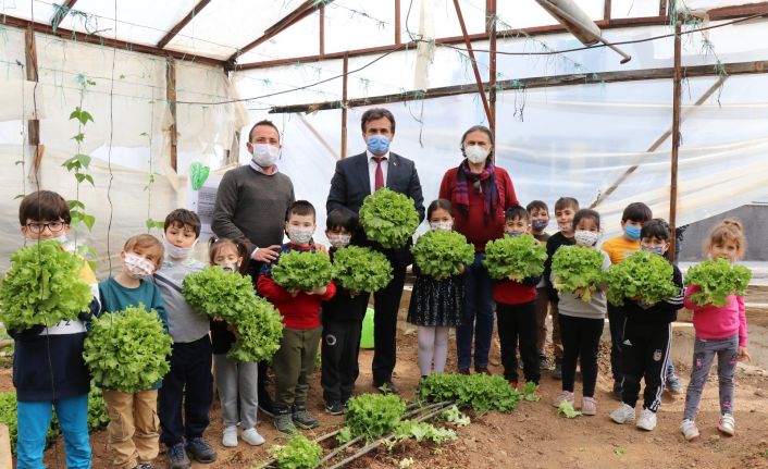 (Özel) Minikler serada organik sebze yetiştiriyor