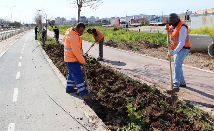 Park ve yeşil alanlarda çalışmaları hız verildi