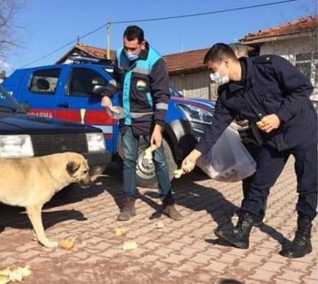 Aslanapa’da sokak hayvanları unutulmadı