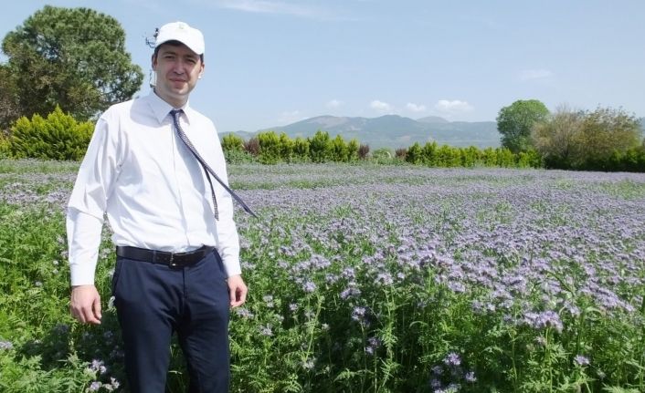 Balıkesir’de arıcılar için ballı bitkilerin üretimine başladı